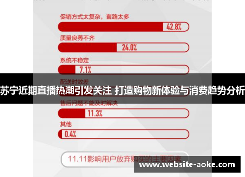 苏宁近期直播热潮引发关注 打造购物新体验与消费趋势分析