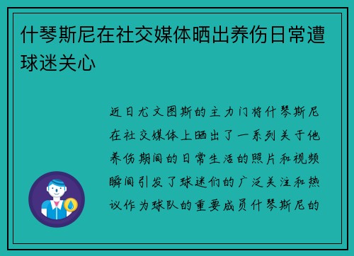 什琴斯尼在社交媒体晒出养伤日常遭球迷关心