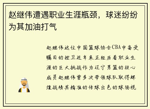 赵继伟遭遇职业生涯瓶颈，球迷纷纷为其加油打气